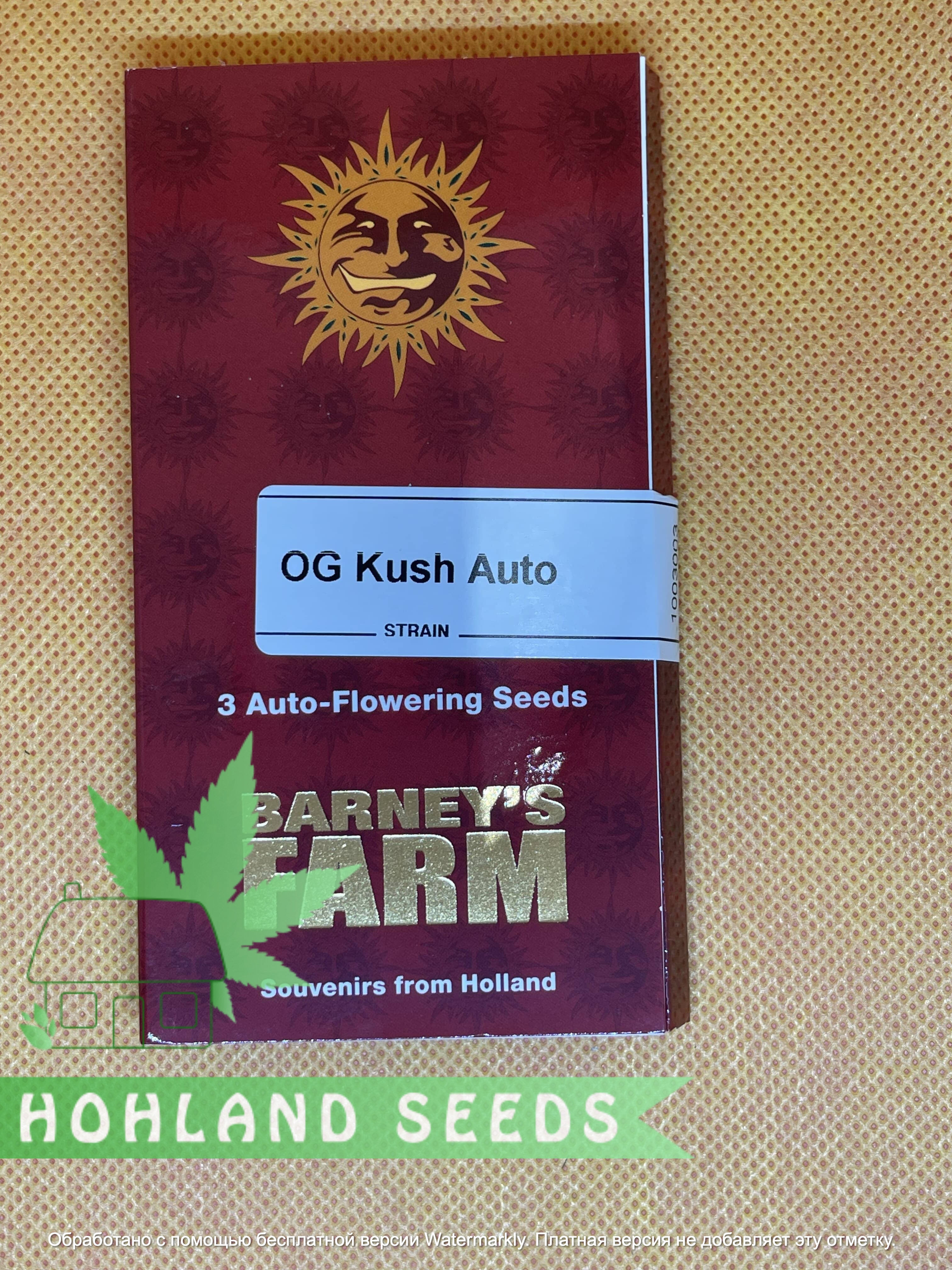 OG Kush Auto OG Kush Auto